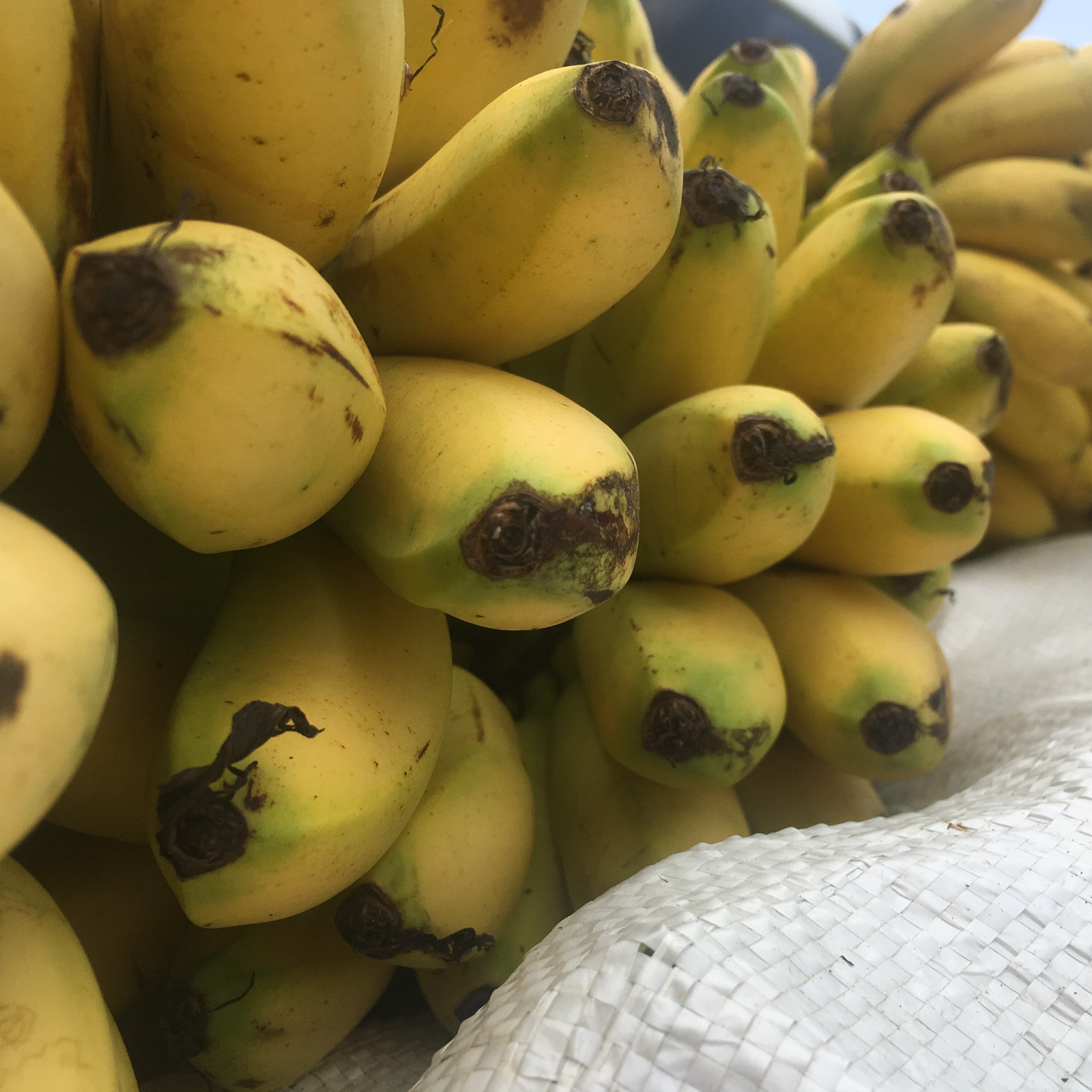 Manzano banana Delivered to your door